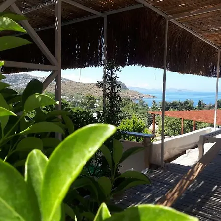 Hotell Oza Boutique